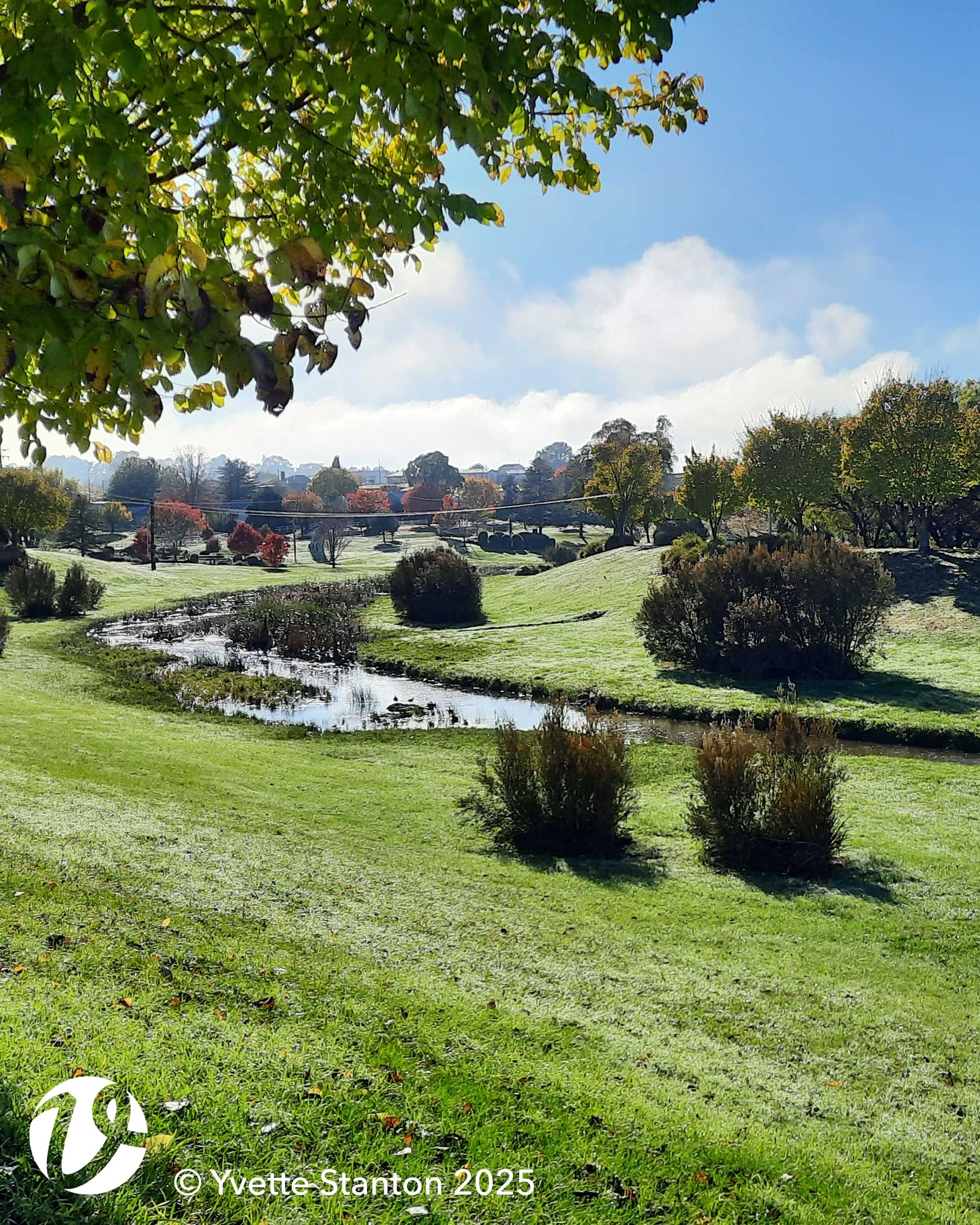 Apsley River, Walcha